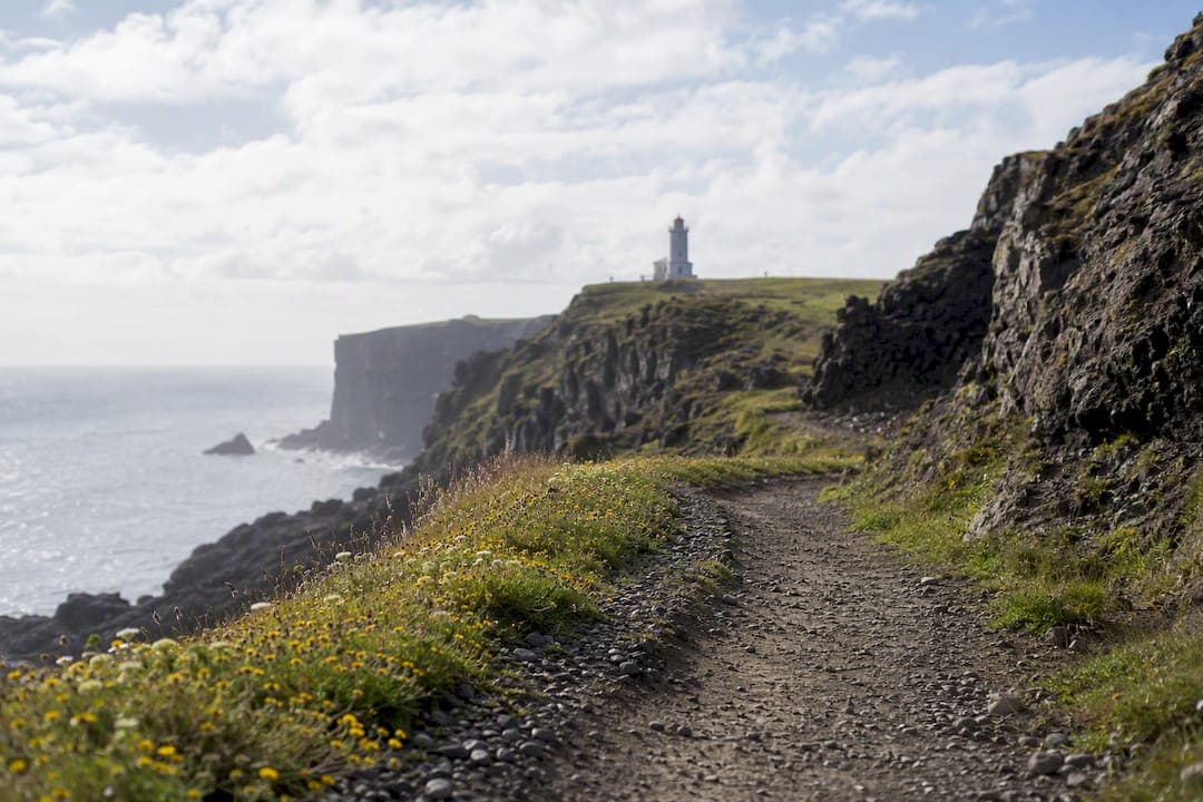 Dyrhólaey Lighthouse Walk: Routes, Times, and Closures