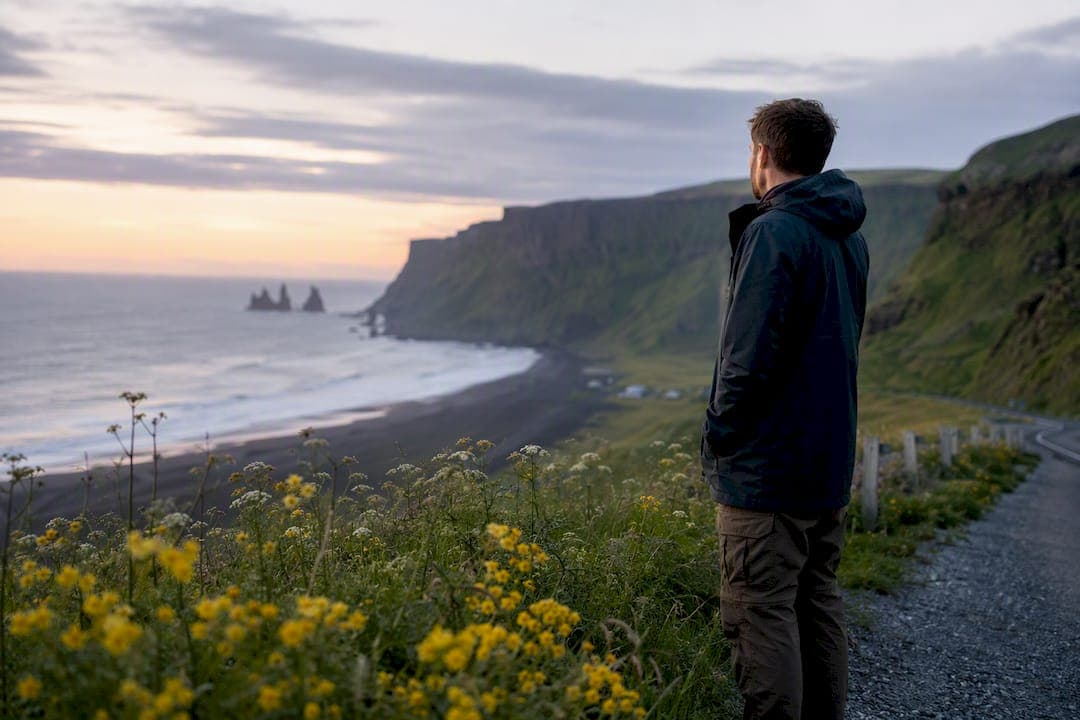 Reykjavik to Vik Drive: Distance, Times, and Best Stops