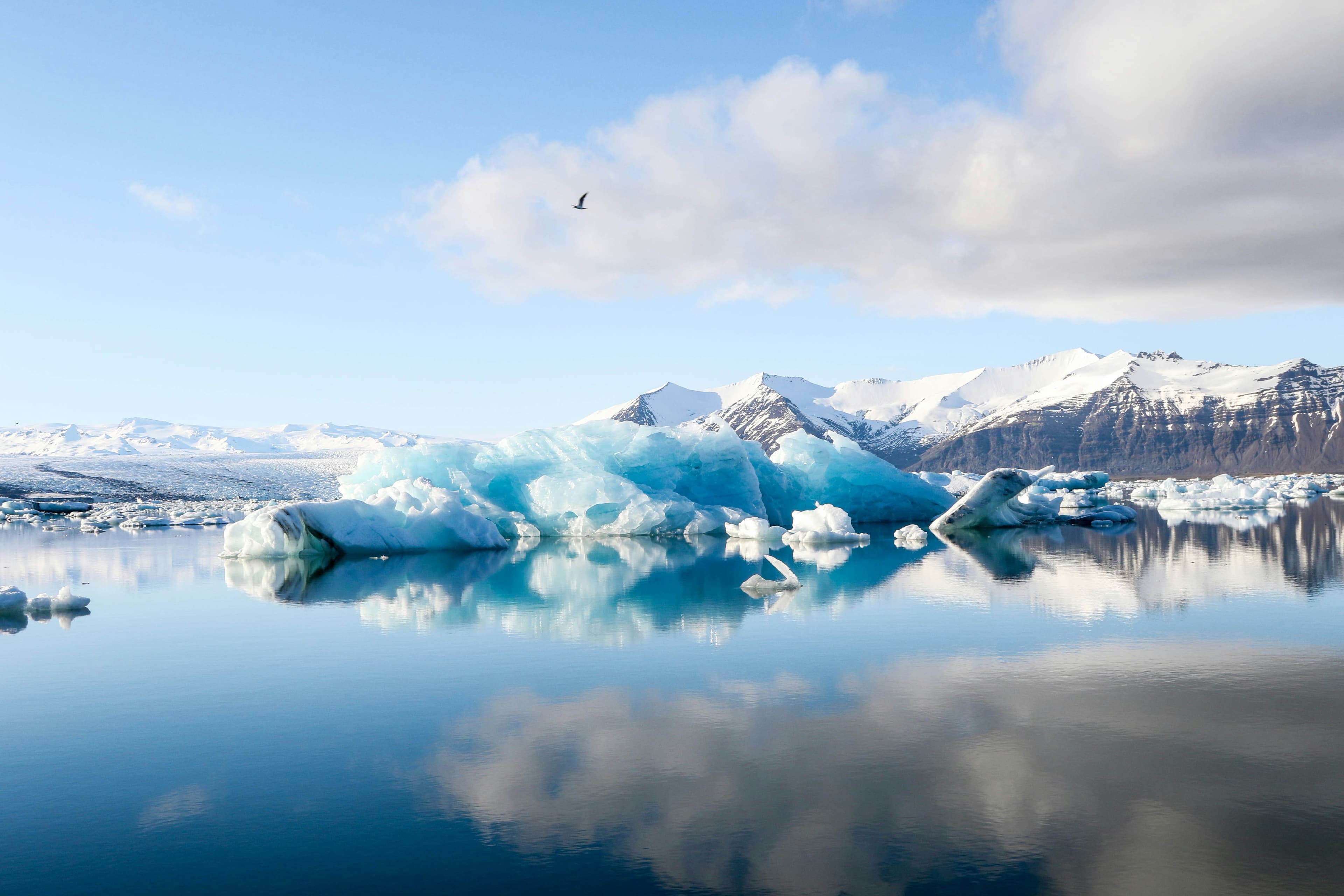 Glaciers and Ice Experiences Boat Tours