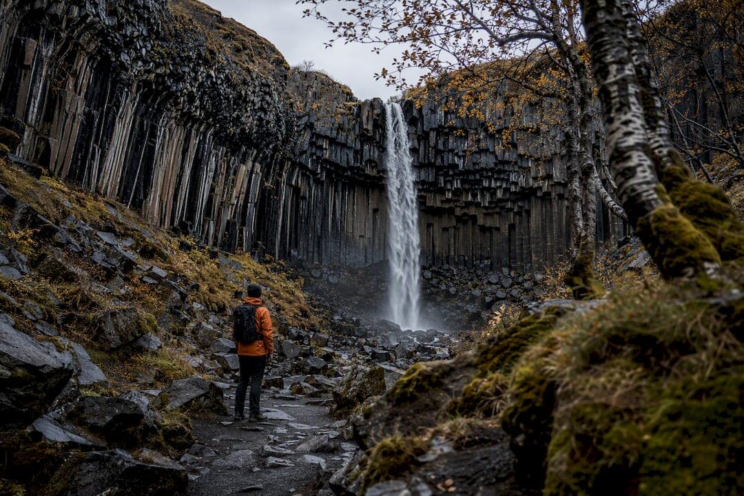 Skaftafell Hikes: 1–8 Hour Routes, Closure Alerts and Fox Hostel Tips